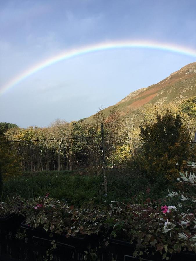 Penmaen-mawr Woodbriar Bed & Breakfast エクステリア 写真