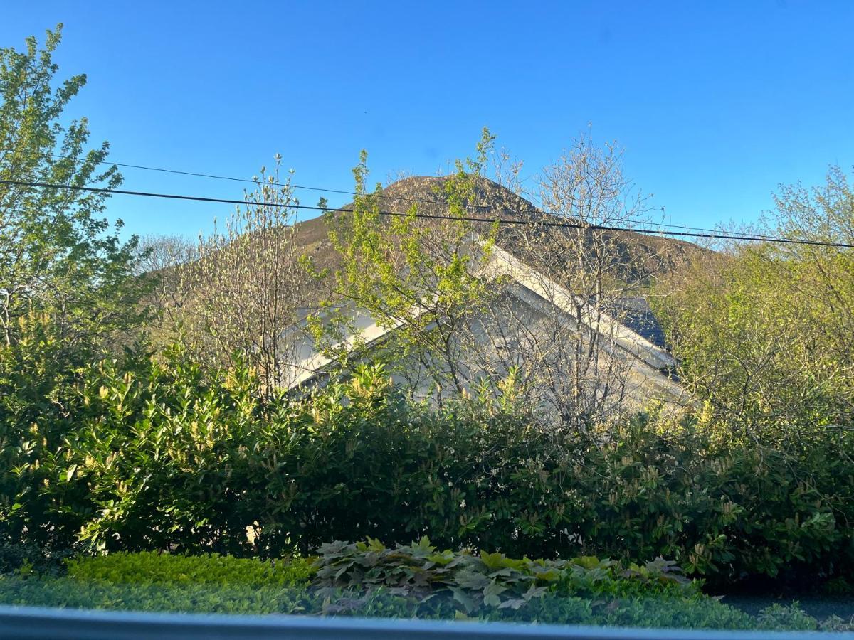 Penmaen-mawr Woodbriar Bed & Breakfast エクステリア 写真